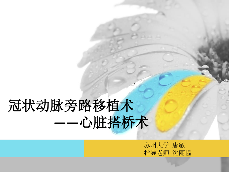 唐敏-心脏搭桥.ppt_第1页