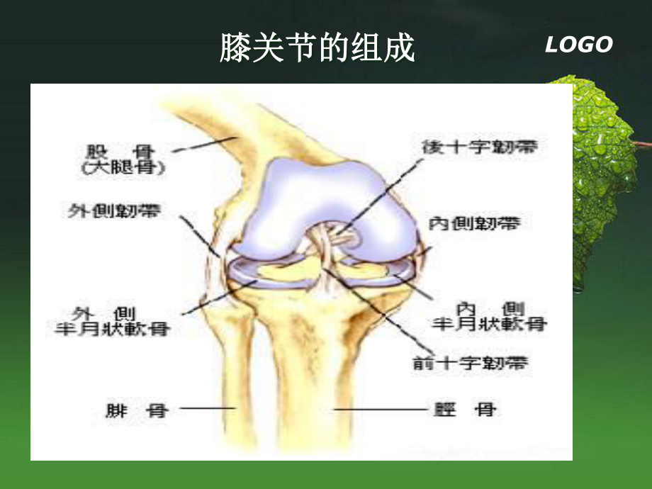 梁静全膝关节置换术后康复描述.ppt_第3页