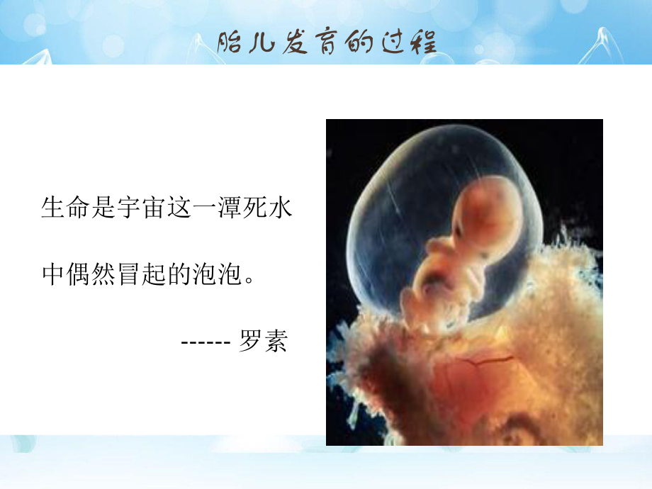 孕期和哺乳期营养知识20140725.ppt_第3页