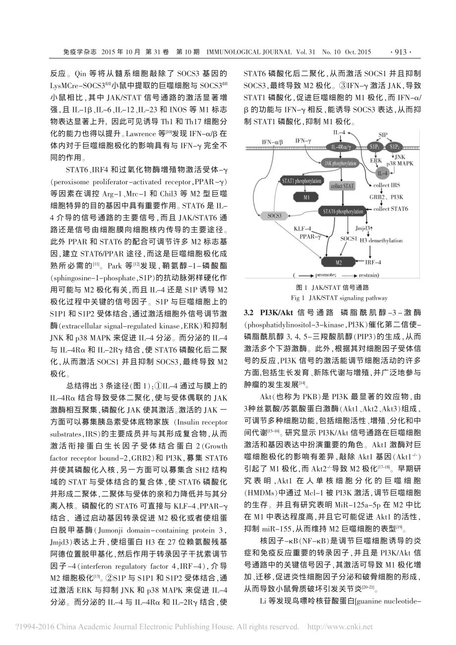 巨噬细胞M1-M2极化的信号通路研究进展-阮静瑶.pdf_第3页