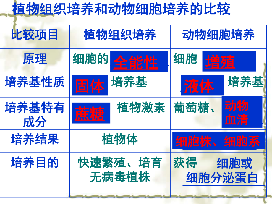 植物组织培养和动物细胞培养的比较...ppt_第1页