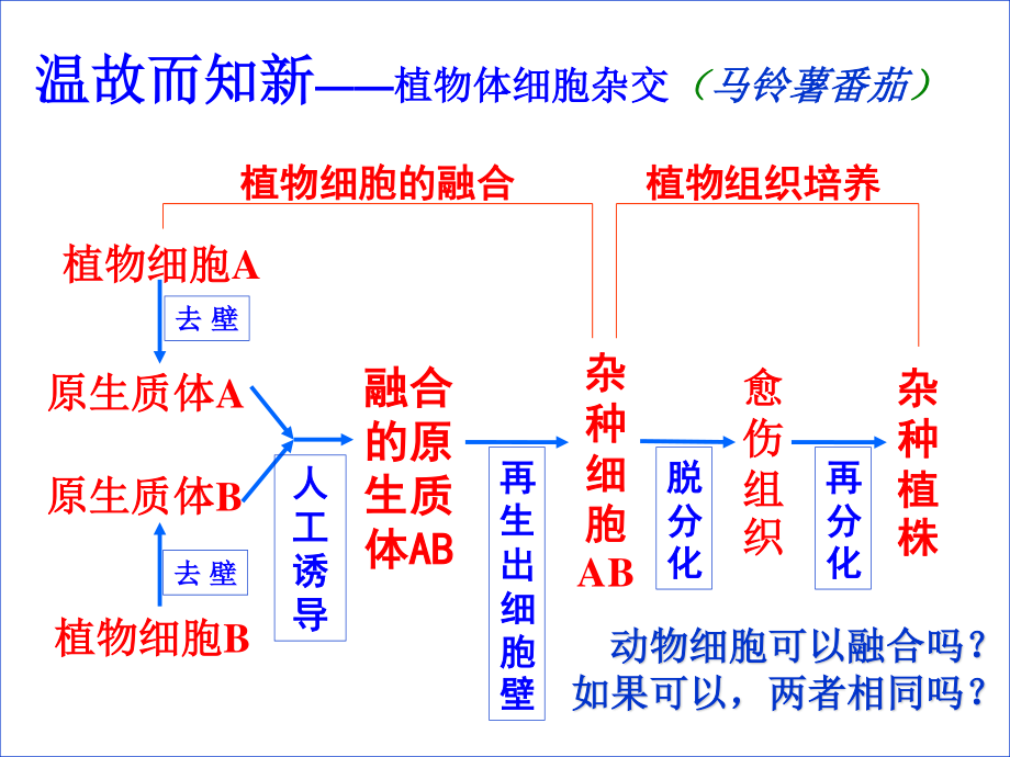 植物组织培养和动物细胞培养的比较...ppt_第2页