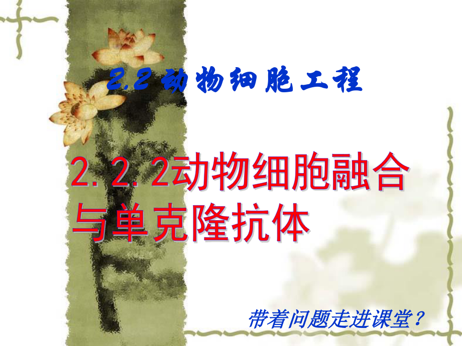 植物组织培养和动物细胞培养的比较...ppt_第3页