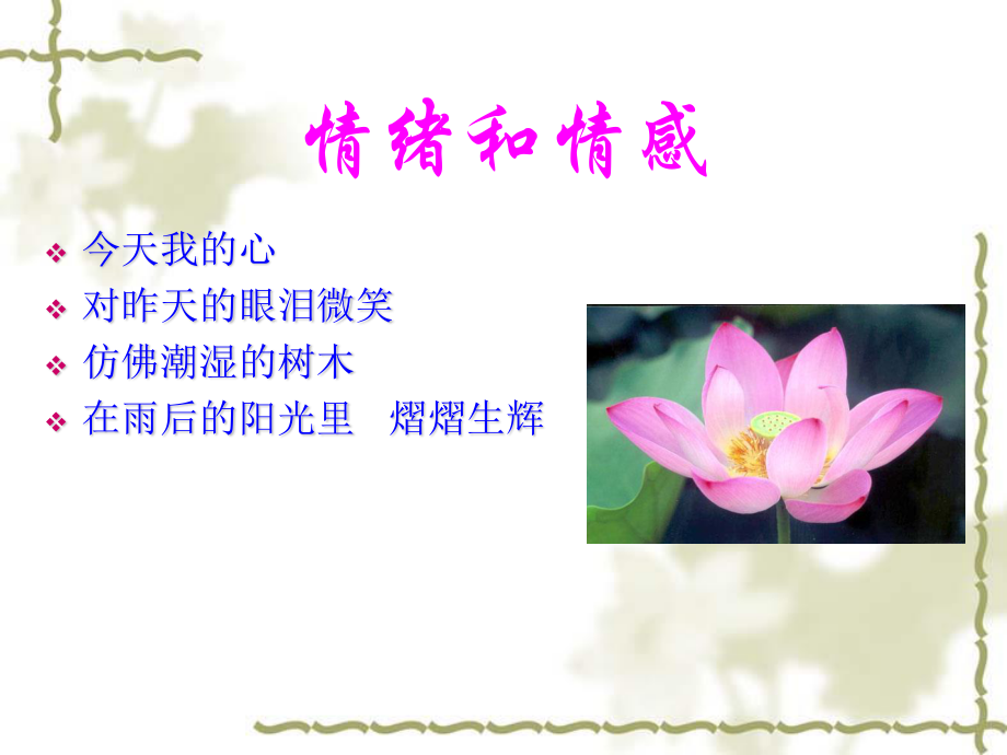 情绪和情感.ppt_第2页