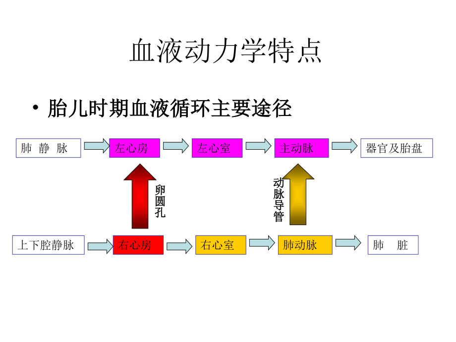 胎儿心脏超声基础及新进展-张颖.ppt_第2页