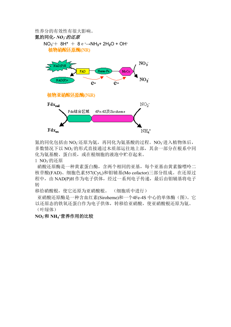 氮的营养功能和氮肥.docx_第3页