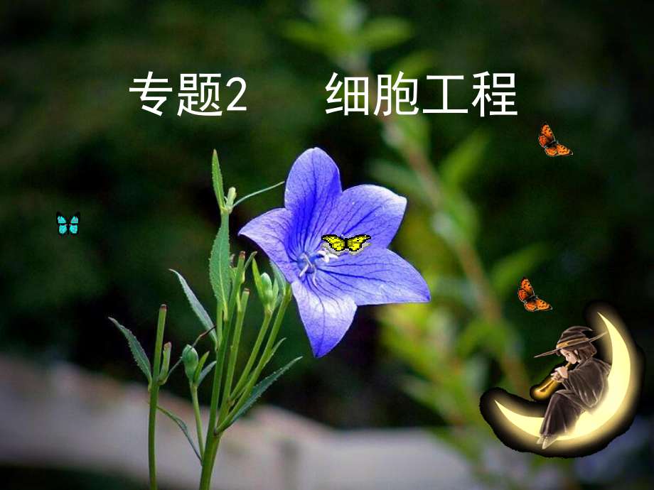 植物细胞工1程.ppt_第1页