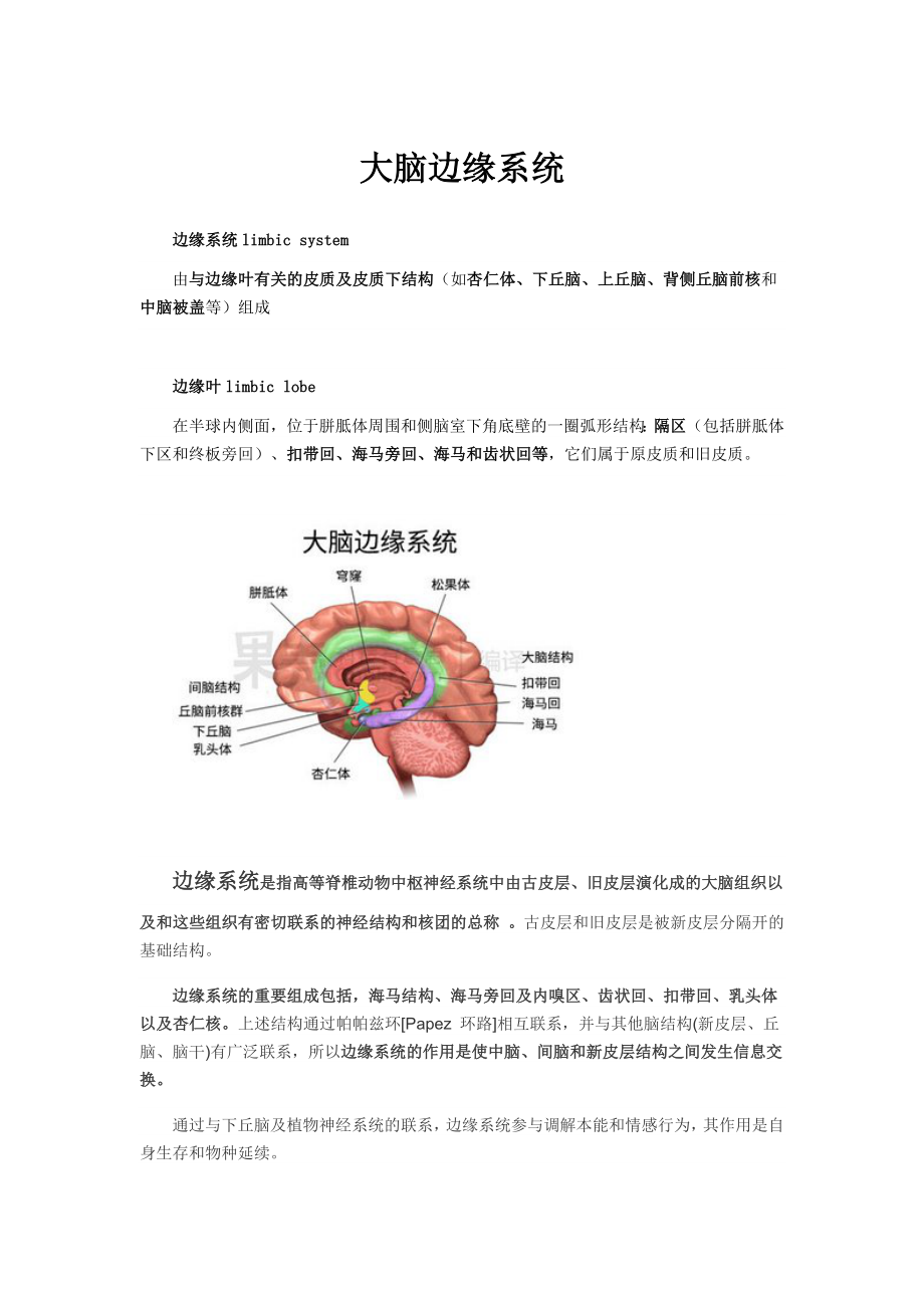 大脑边缘系统.docx_第1页