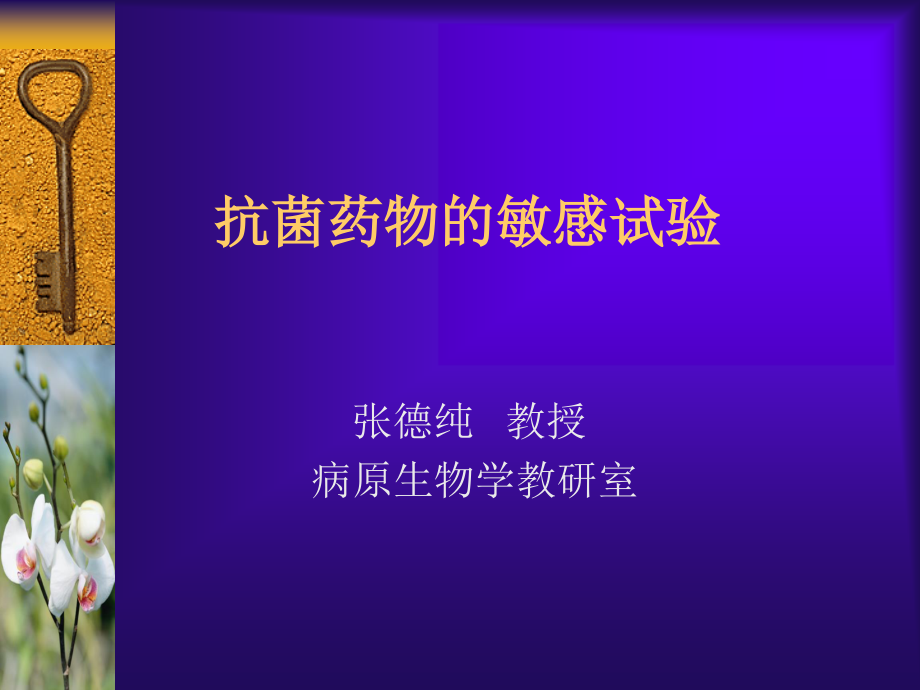 药敏试验.ppt_第2页