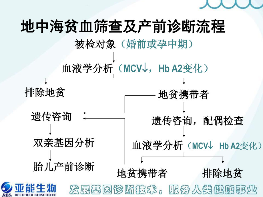 地中海贫血筛查-血液学分析.ppt_第3页