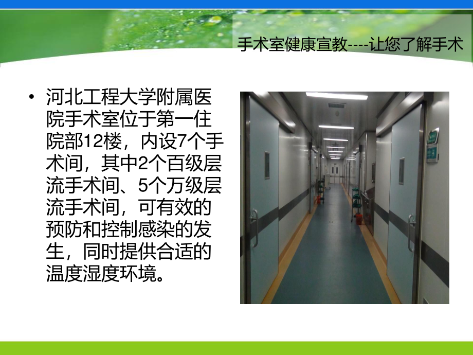 手术室健康宣教2.ppt_第2页