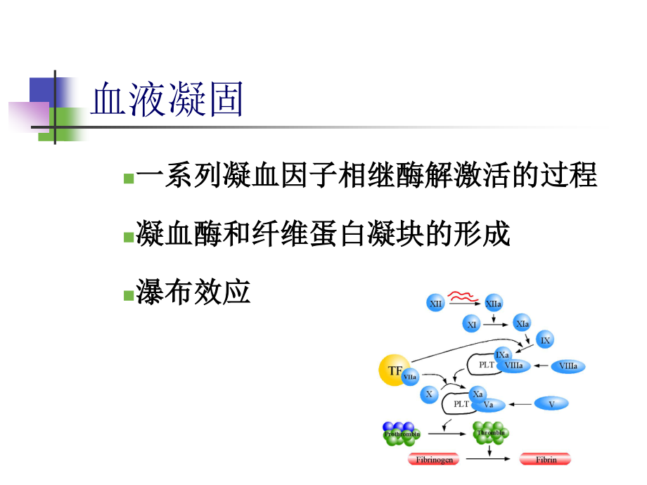 弥散性血管内凝血.ppt_第3页