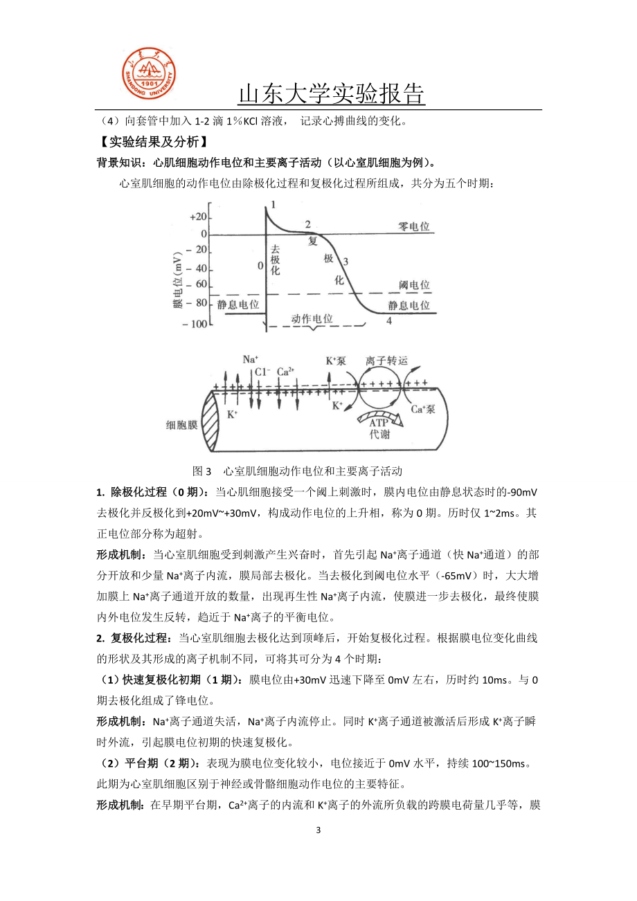 蛙类斯氏离体心脏灌流.doc_第3页