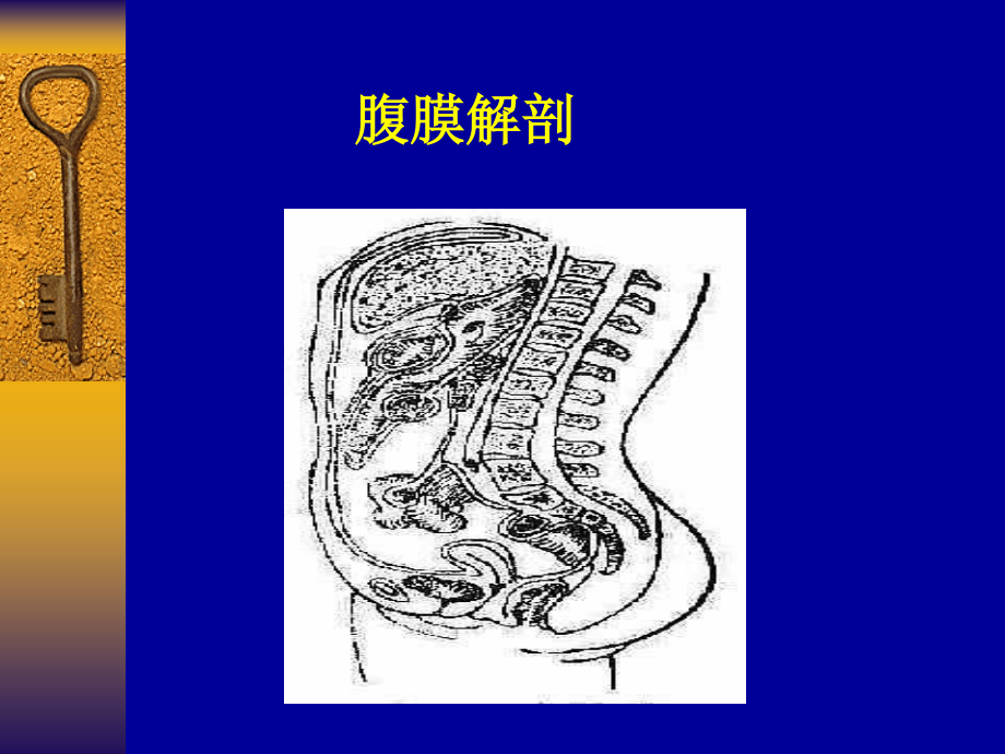 急性弥漫性腹膜炎.ppt_第3页