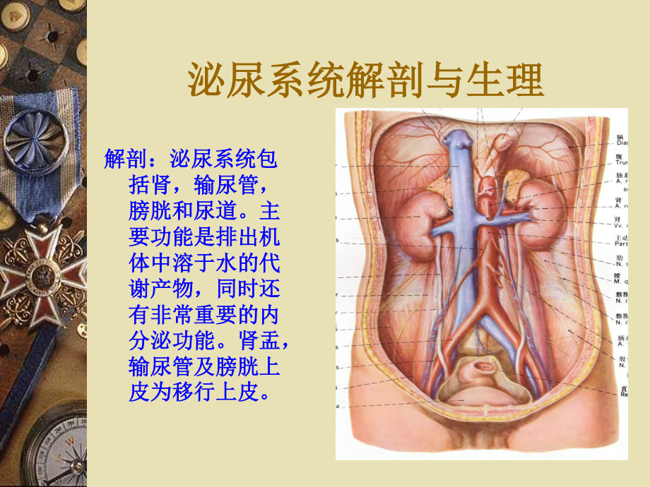 泌尿系结石的诊治.ppt_第2页