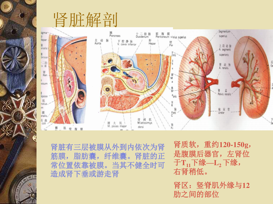 泌尿系结石的诊治.ppt_第3页