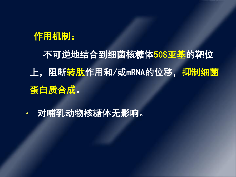 大环内酯类、林可霉素.ppt_第3页