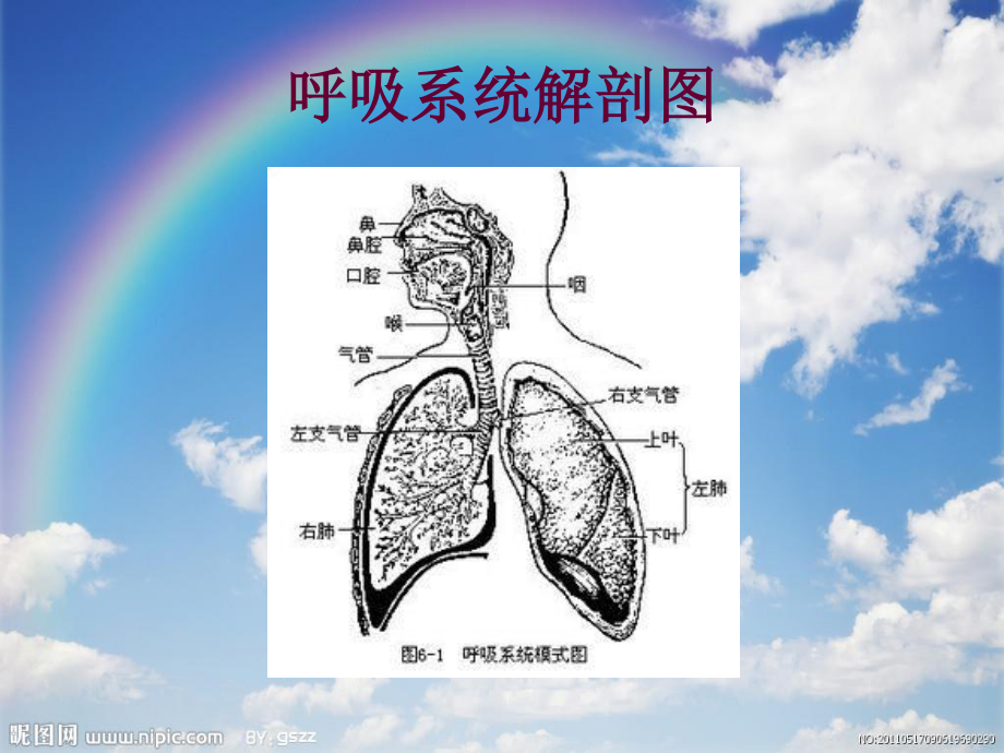 小儿发热及手足口病.ppt_第3页