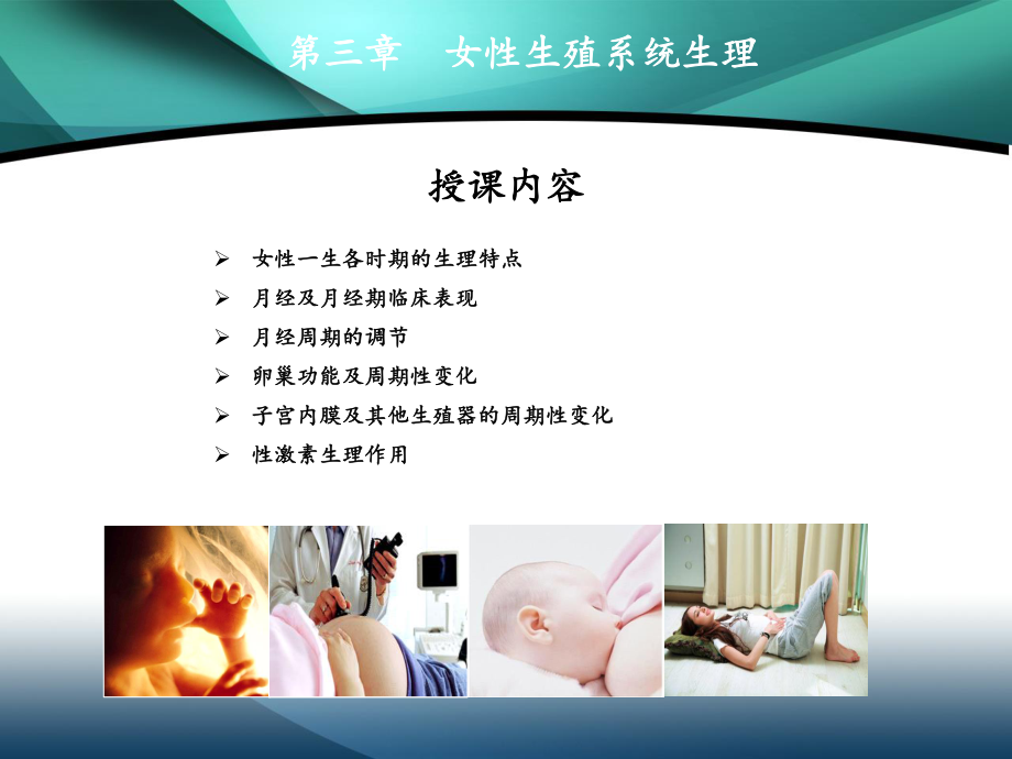 生殖生理.ppt_第2页