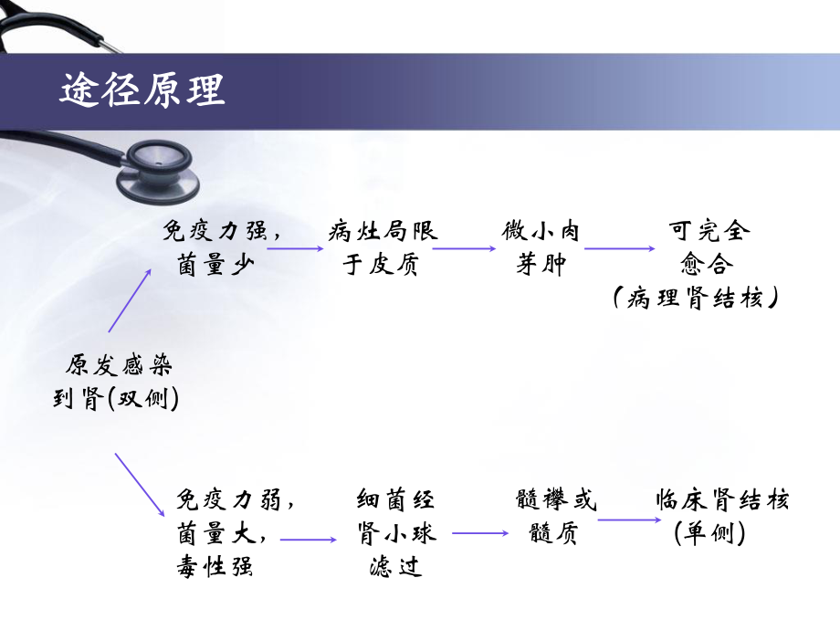 泌尿、男生殖系统结核.ppt_第3页