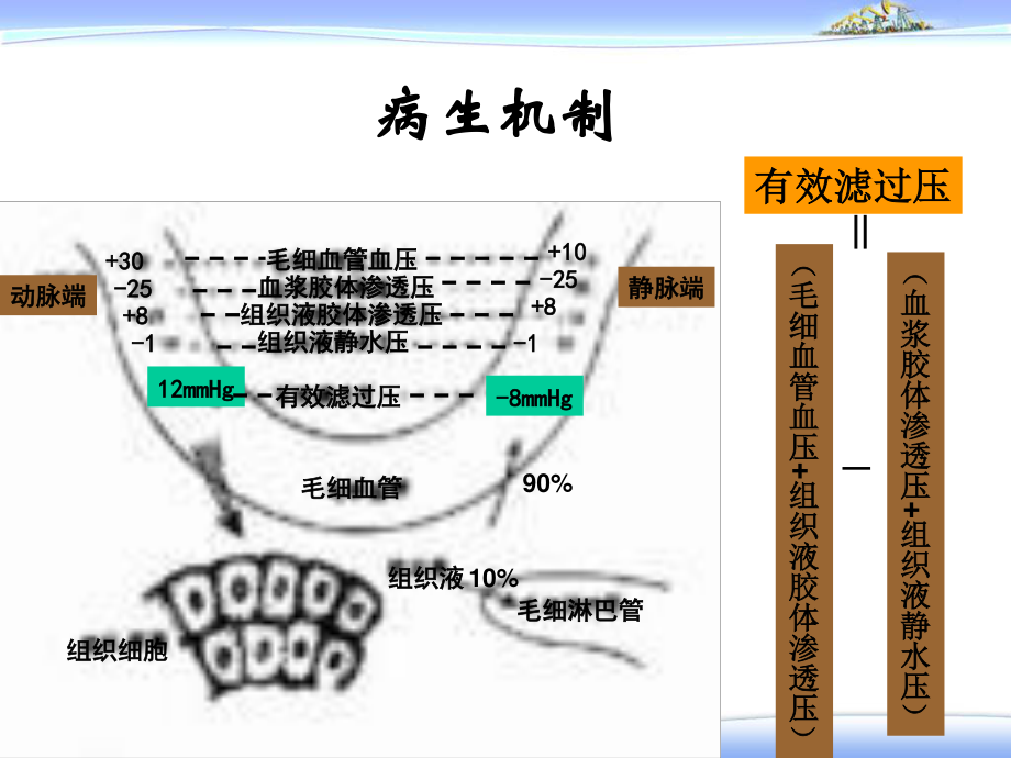 水肿—健康评估.ppt_第2页