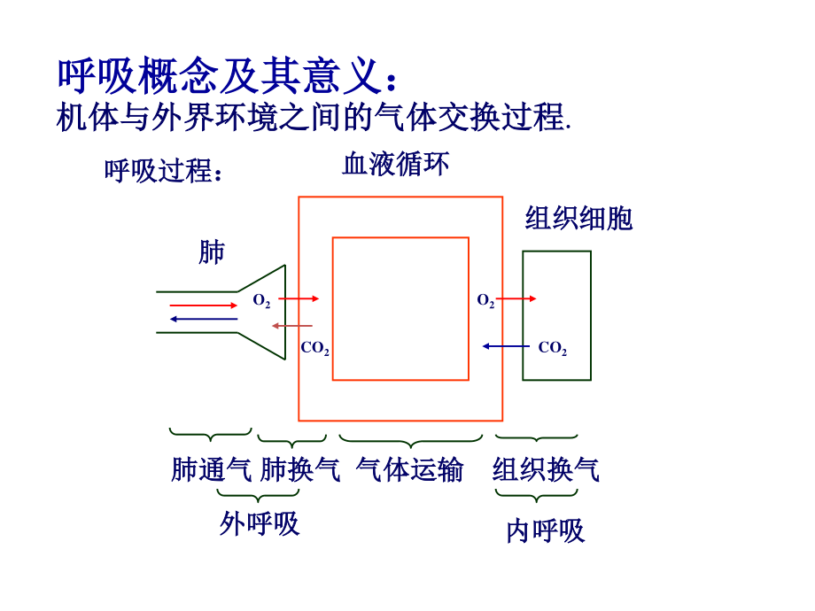 呼吸机基础知识笔记.pptx_第2页