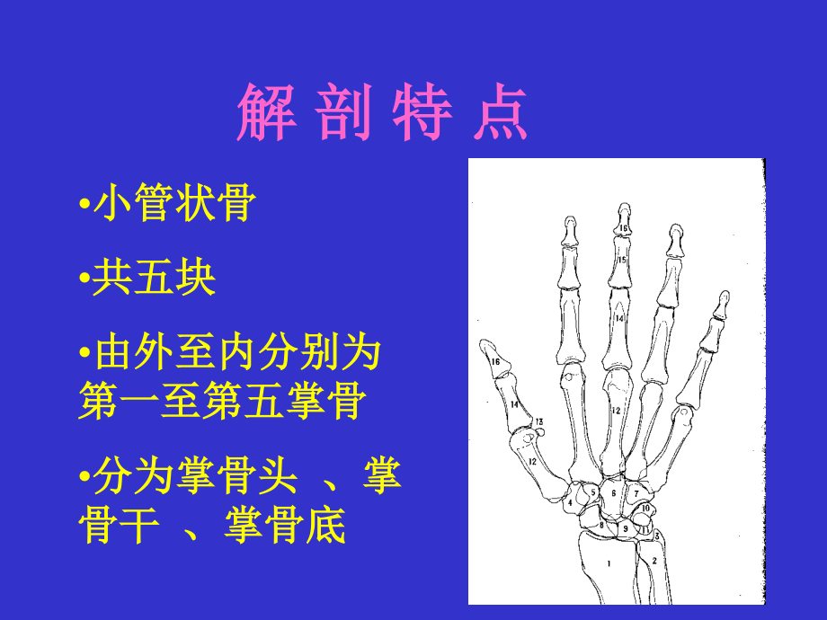 掌骨骨折.ppt_第2页