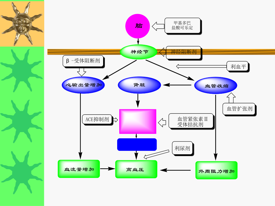 抗高血压药(尤)摘要.ppt_第2页