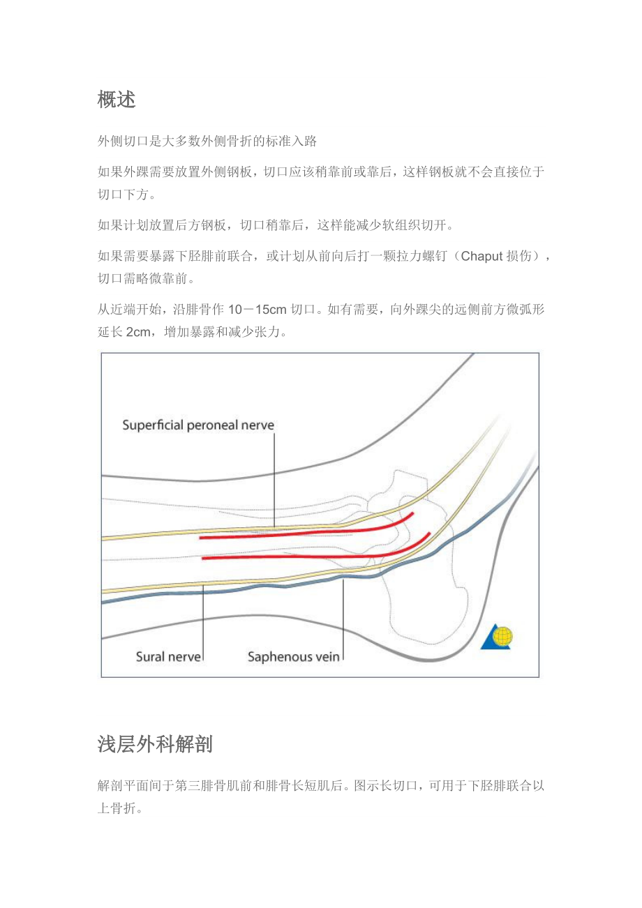 外踝及腓骨下段手术入路.docx_第1页