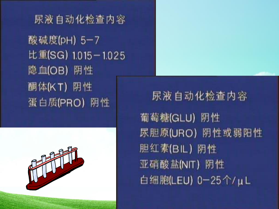 尿常规和粪常规解读.ppt_第2页