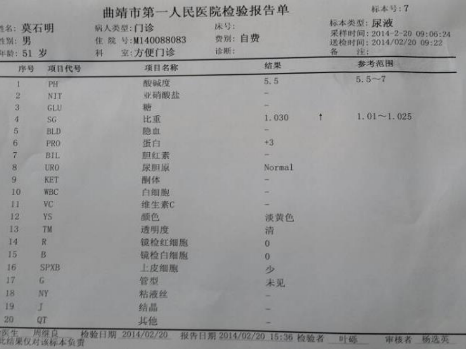 尿常规和粪常规解读.ppt_第3页