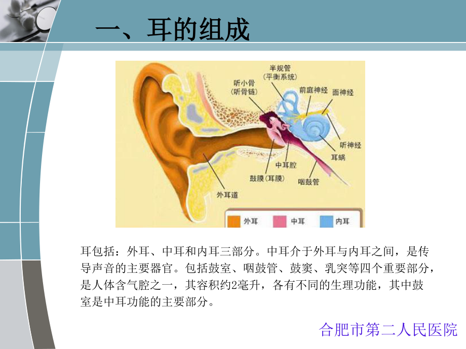 慢性化脓性中耳炎qq系列.ppt_第2页