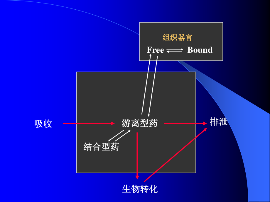 血药浓度一时间曲线的意义峰值Cmax.ppt_第3页