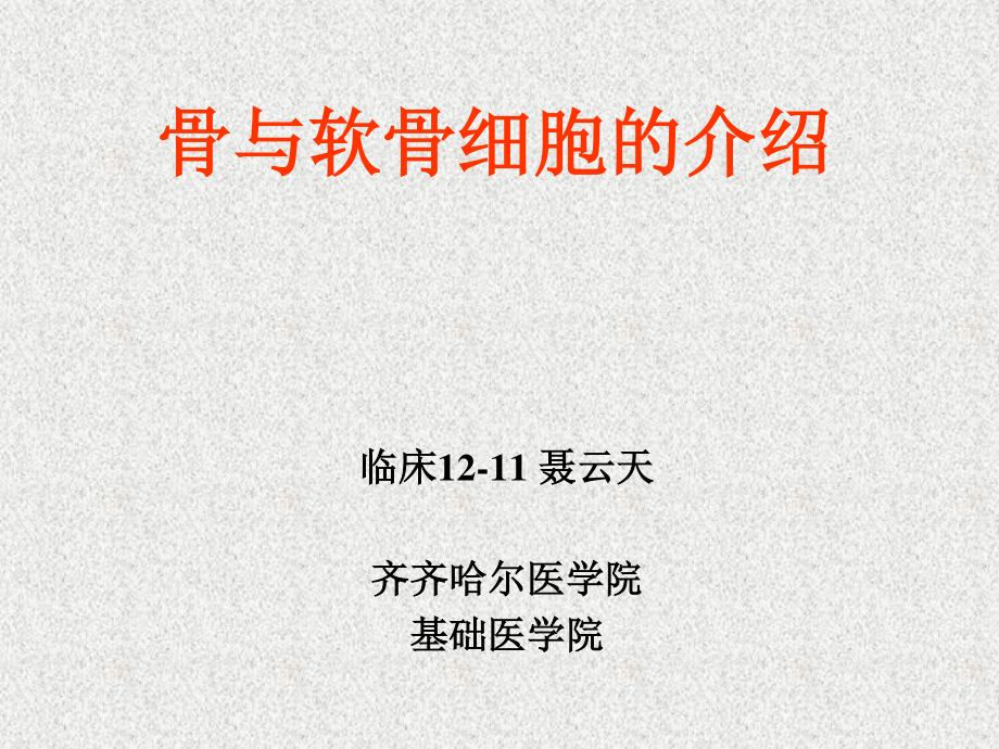 软骨和骨的介绍.ppt_第1页