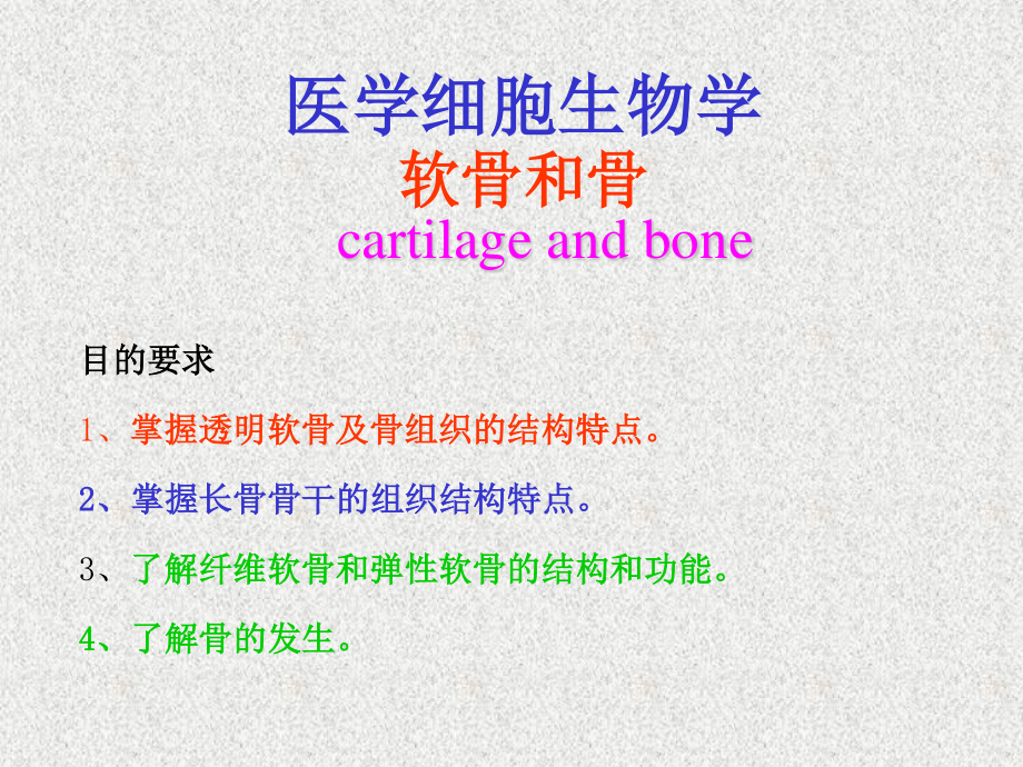 软骨和骨的介绍.ppt_第2页