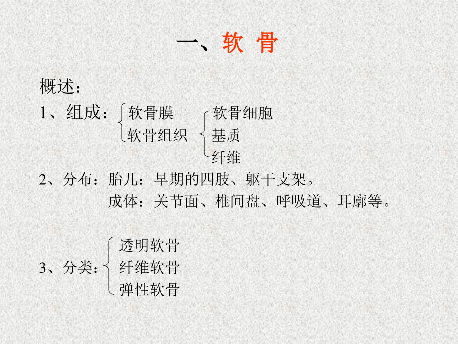 软骨和骨的介绍.ppt_第3页