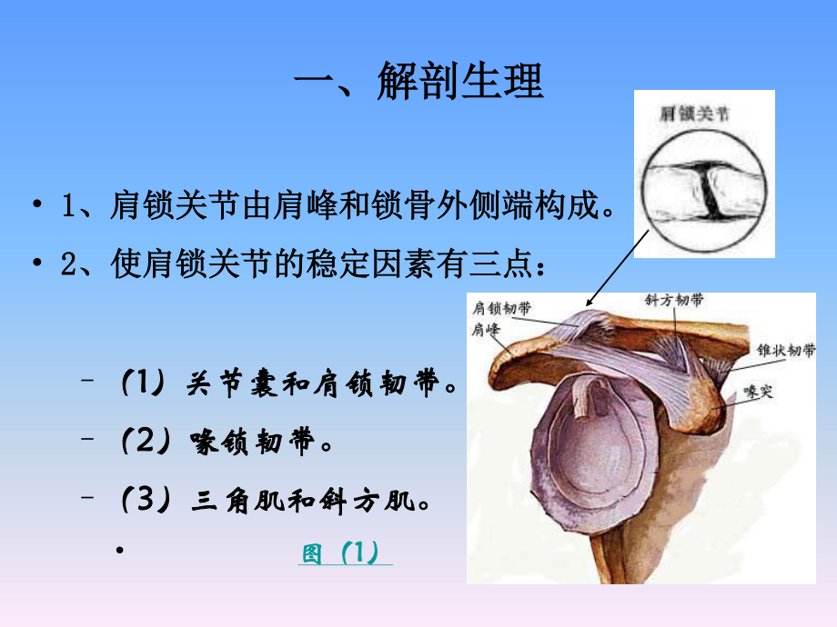 常见运动损伤2.ppt_第3页