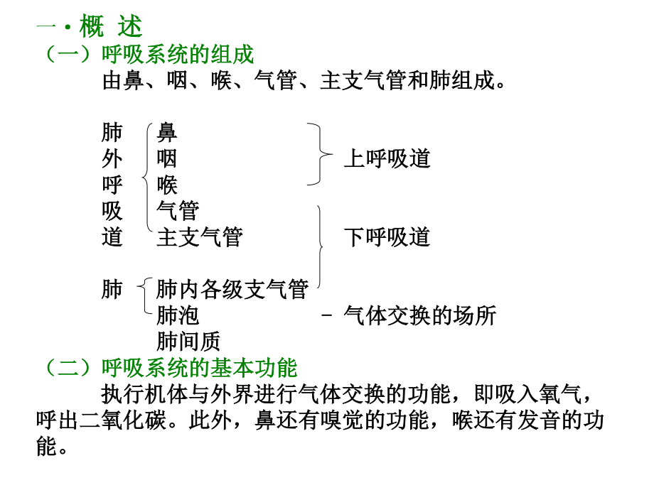 呼吸系统和泌尿系统.ppt_第2页