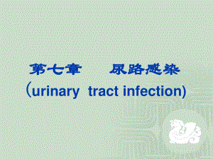 尿路感染(urinary.ppt