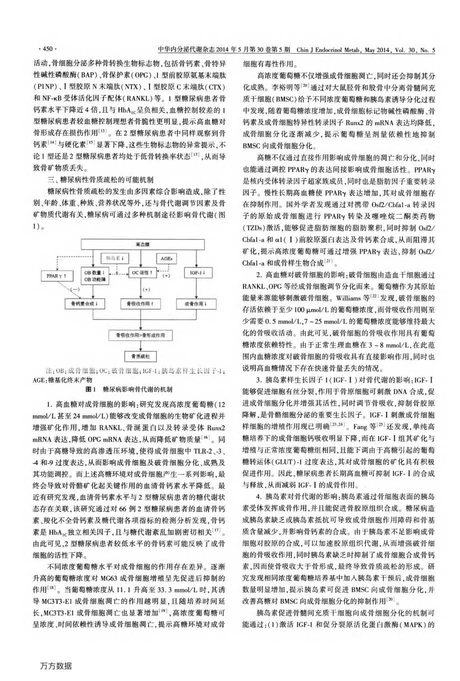 糖尿病与骨质疏松.pdf_第2页