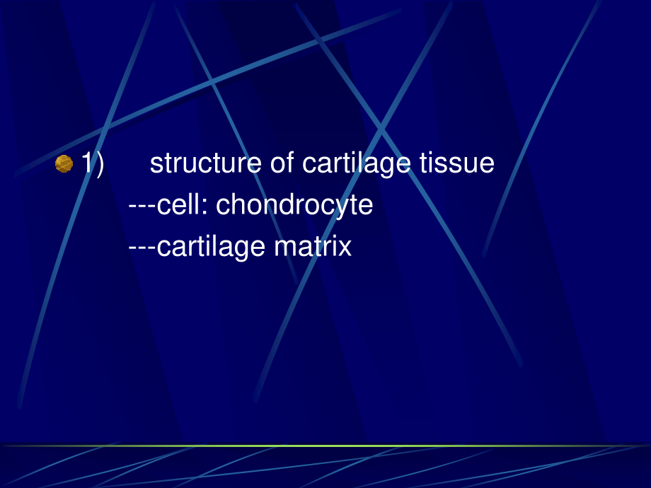 软骨和骨--组织学和胚胎学.ppt_第3页