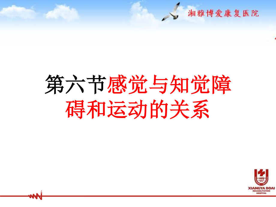 感觉与知觉障碍和运动的关系..ppt_第1页