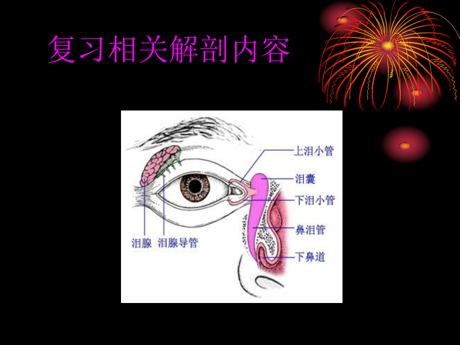 慢性泪囊炎.ppt_第1页