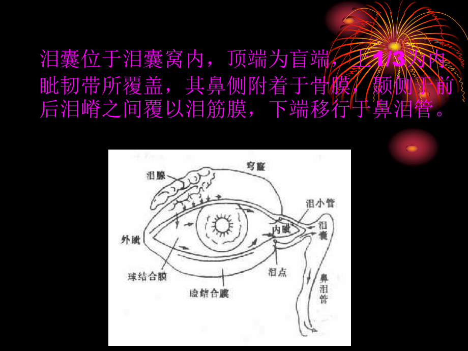 慢性泪囊炎.ppt_第2页