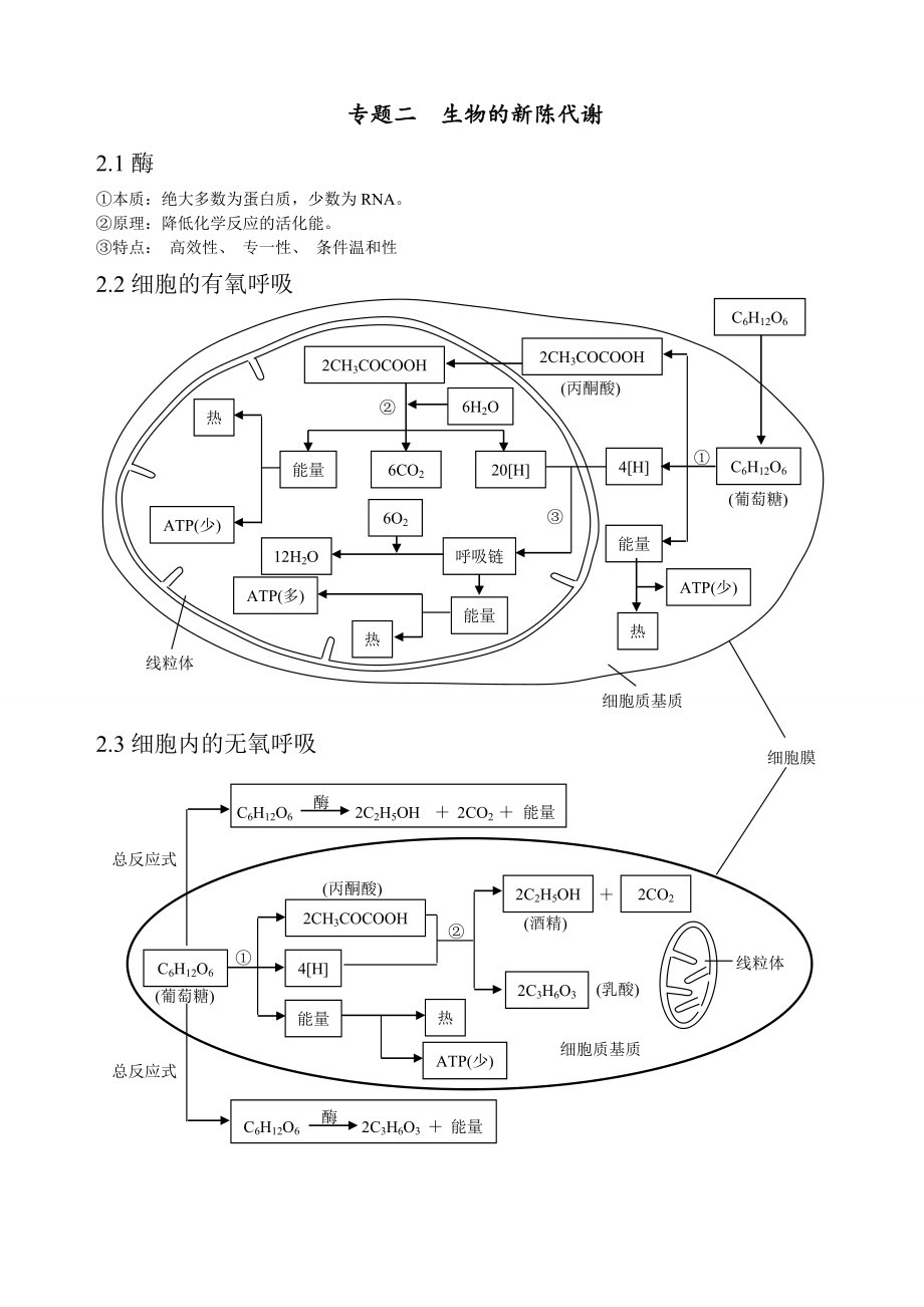 细胞代谢基础知识点.doc_第1页