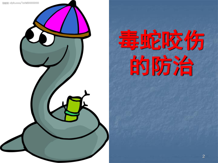 毒蛇咬伤防治知识.ppt_第2页