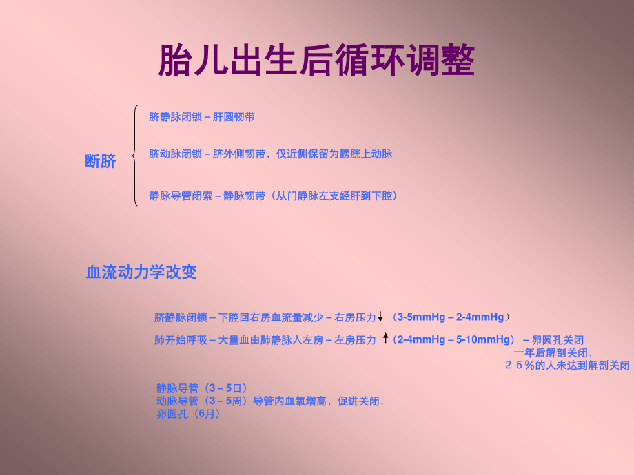 胎儿超声心动图.ppt.ppt_第3页