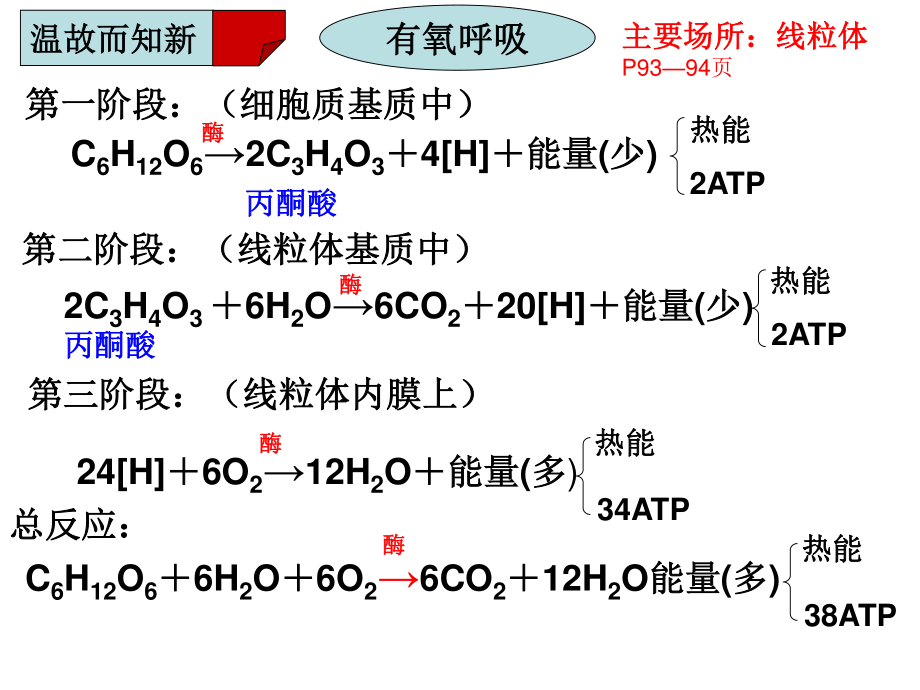 影响细胞呼吸的因素详解.ppt_第2页