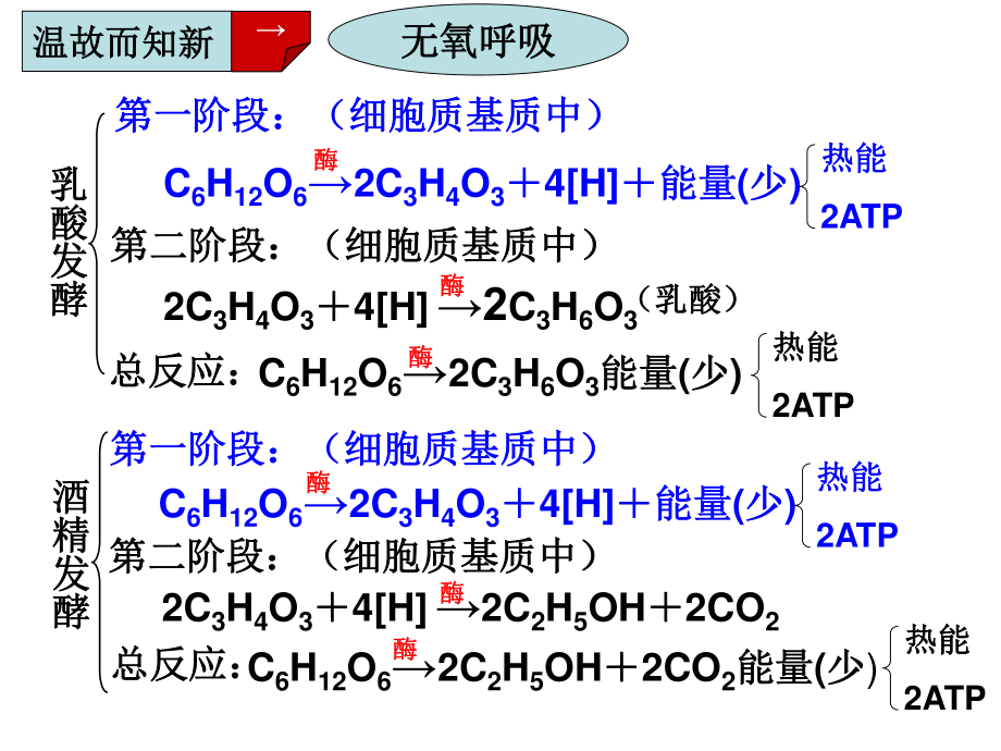 影响细胞呼吸的因素详解.ppt_第3页