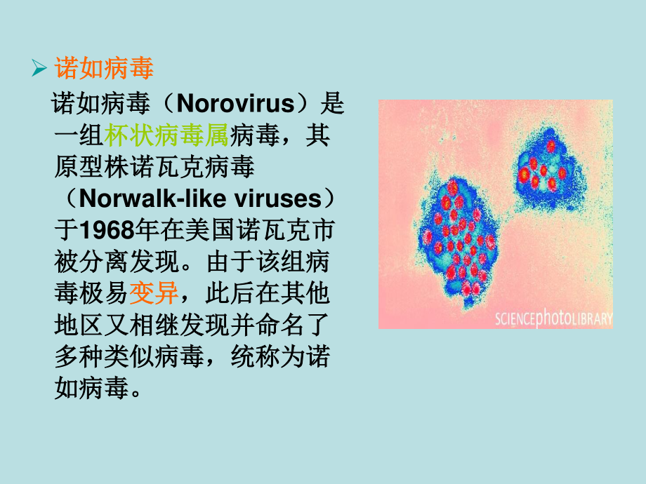 感染性腹泻防控.ppt_第3页